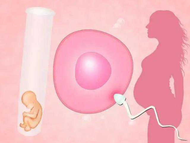 广州代孕公司代孕可有龄限制|南宁供卵试管——什么条件适合南宁捐卵？南宁