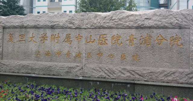 广州找一个代孕网,广州中山医院试管婴