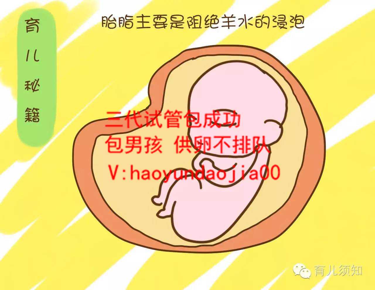 金贝供卵多少钱_广州现代生物科技业务_试管婴儿多少钱医院做 不孕不育检查，