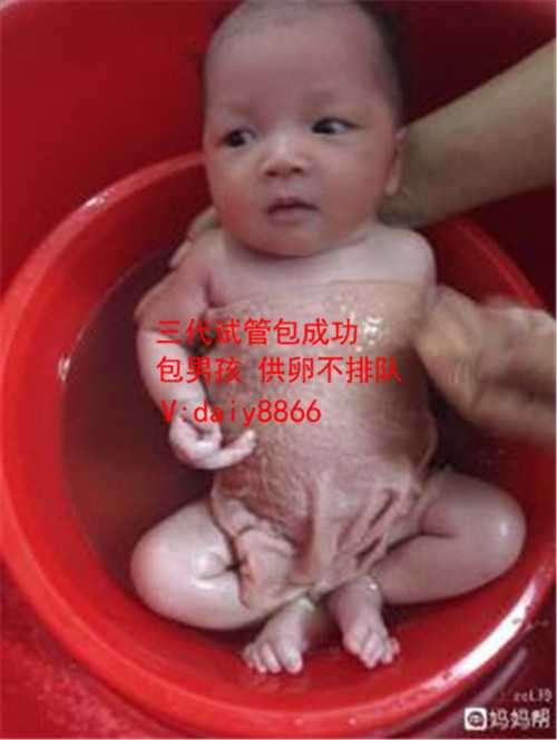 甘肃借卵生娃_上海国妇婴医院试管怎么样？试管费用大概要多少？