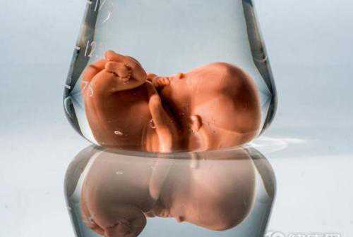 汕头代孕包女孩费用_美国试管婴儿卵子冷冻过程时间表